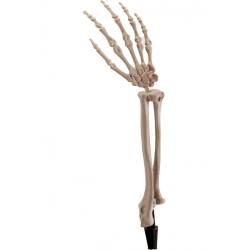 ΚΟΚΑΛΑ ΣΚΕΛΕΤΟΥ 3 ΤΜΧ – ΜΕ ΦΩΤΙΣΜΟΣ