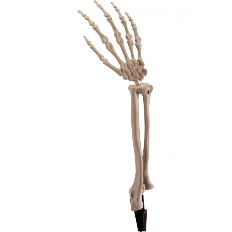 ΚΟΚΑΛΑ ΣΚΕΛΕΤΟΥ 3 ΤΜΧ – ΜΕ ΦΩΤΙΣΜΟΣ