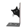 ΒΙΒΛΙΟΣΤΑΤΗΣ I-TOTAL CAT 10X17X10C BLACK