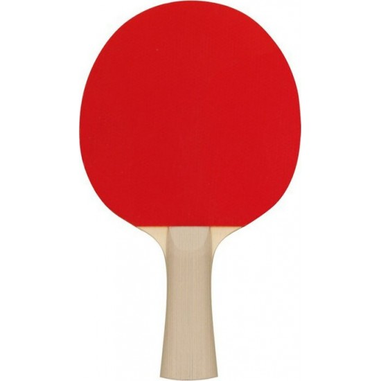 ΣΕΤ ΡΑΚΕΤΕΣ PING PONG & 3 ΜΠΑΛΑΚΙΑ