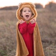 ΚΑΠΑ "ΛΙΟΝΤΑΡΙ" 2-3 ΕΤΩΝ