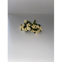 ΠΕΡΛΑ ΚΙΤΡΙΝΗ ΨΕΙΡΑ (12 ΤΜΧ)