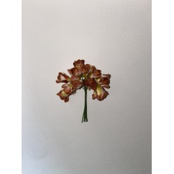 ΛΟΥΛΟΥΔΙ ΠΟΡΤΟΚΑΛΙ (ΣΕΤ 12 ΤΜΧ)