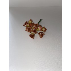 ΛΟΥΛΟΥΔΙ ΠΟΡΤΟΚΑΛΙ (ΣΕΤ 12 ΤΜΧ)