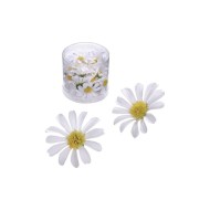 ΥΦΑΣΜΑΤΙΝΑ ΛΟΥΛΟΥΔΙΑ ΜΑΡΓΑΡΙΤΕΣ 4CM 25ΤΜΧ