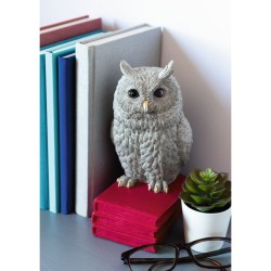 ΒΙΒΛΙΟΣΤΑΤΗΣ ΚΟΥΚΟΥΒΑΓΙΑ 21CM MOSES