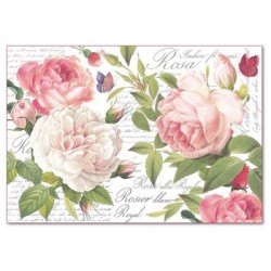 ΡΙΖΟΧΑΡΤΟ ΝΤΕΚΟΥΠΑΖ STAMPERIA 48Χ33CM VINTAGE ROZE