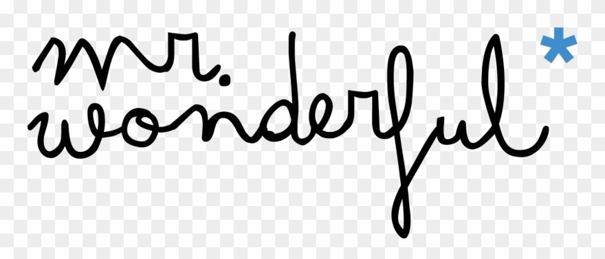Mr WONDERFUL